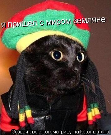 я пришел с миром земляне... Котоматрица: я пришел с миром земляне