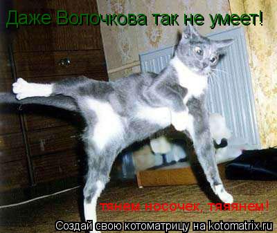 Даже Волочкова так не умеет! тянем носочек, тяяянем!... Котоматрица: Даже Волочкова так не умеет! тянем носочек, тяяянем!