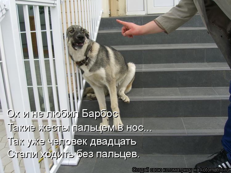 Ох и не любил Барбос Такие жесты пальцем в нос... Так уже человек двадцать Стали ходить без пальцев.... Котоматрица: Ох и не любил Барбос Такие жесты пальцем в нос... Так уже человек двадцать Стали ходить без пальцев.