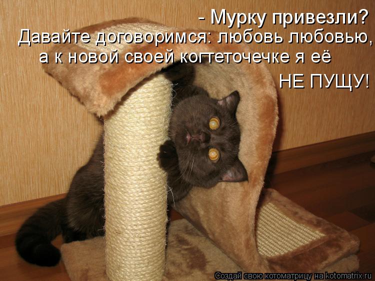 - Мурку привезли? Давайте договоримся: любовь любовью, а к новой своей когтеточечке я её НЕ ПУЩУ!... Котоматрица: - Мурку привезли? Давайте договоримся: любовь любовью, а к новой своей когтеточечке я её НЕ ПУЩУ!