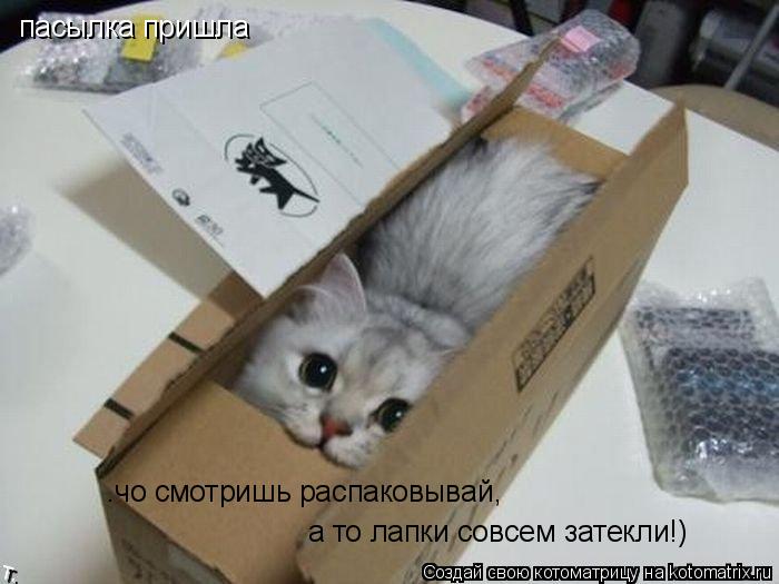 —чо смотришь распаковывай, а то лапки совсем затекли!) пасылка пришла... Котоматрица: —чо смотришь распаковывай, а то лапки совсем затекли!) пасылка пришла
