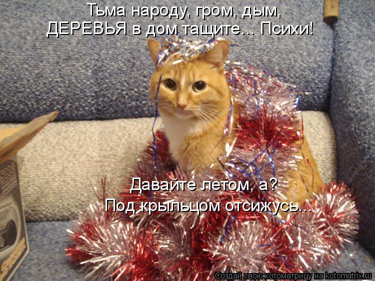 Котоматрица: Тьма народу, гром, дым, ДЕРЕВЬЯ в дом тащите... Психи! Давайте летом, а? Под крыльцом отсижусь...