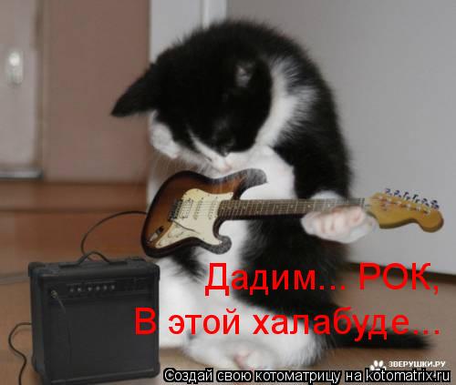 Дадим... РОК, В этой халабуде...... Котоматрица: Дадим... РОК, В этой халабуде...