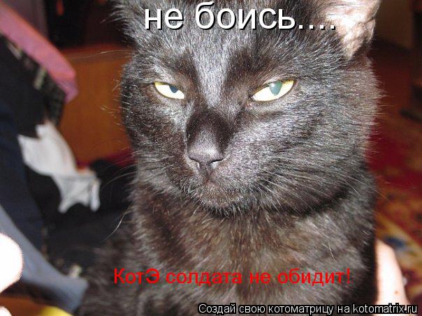 не боись.... КотЭ солдата не обидит!... Котоматрица: не боись.... КотЭ солдата не обидит!
