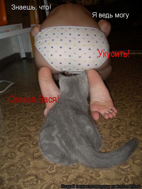 Знаешь, что! Я ведь могу Укусить! Сказал Вася!... Котоматрица: Знаешь, что! Я ведь могу Укусить! Сказал Вася!