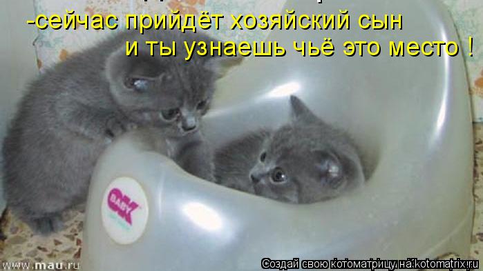 -сейчас прийдёт хозяйский сын и ты узнаешь чьё это место !... Котоматрица: -сейчас прийдёт хозяйский сын и ты узнаешь чьё это место !