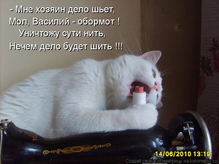 Котоматрица: - Мне хозяин дело шьет, Мол, Василий - обормот ! Уничтожу сути нить, Нечем дело будет шить !!!