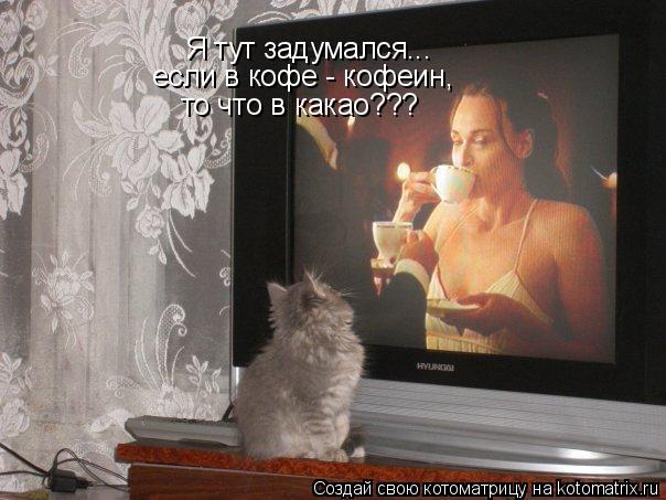Я тут задумался... если в кофе - кофеин, то что в какао???... Котоматрица: Я тут задумался... если в кофе - кофеин, то что в какао???