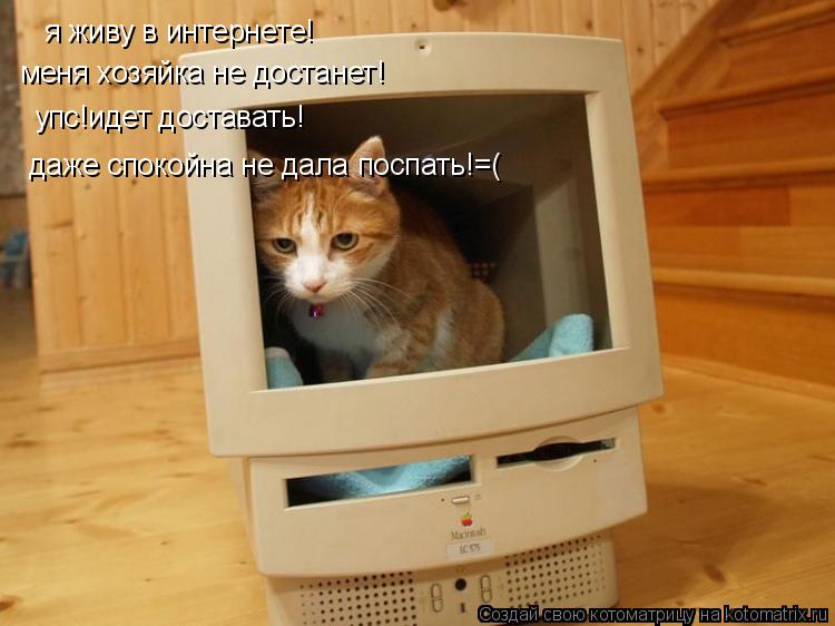 я живу в интернете! меня хозяйка не достанет! упс!идет доставать! даже спокойна не дала поспать!=(... Котоматрица: я живу в интернете! меня хозяйка не достанет! упс!идет доставать! даже спокойна не дала поспать!=(