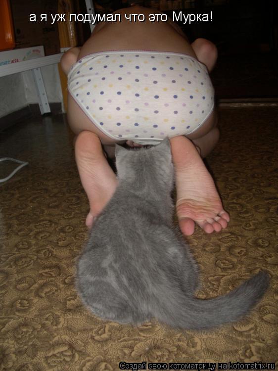 а я уж подумал что это Мурка!... Котоматрица: а я уж подумал что это Мурка!