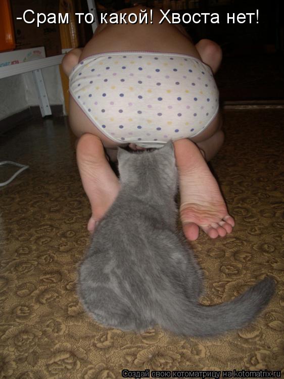 -Срам то какой! Хвоста нет!... Котоматрица: -Срам то какой! Хвоста нет!