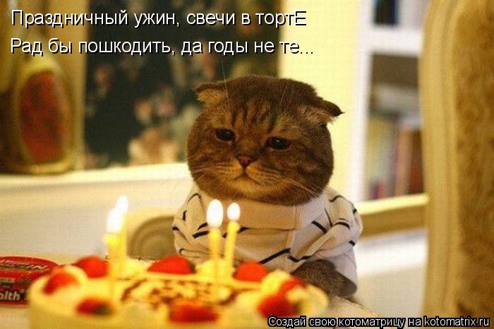 Праздничный ужин, свечи в тортЕ Рад бы пошкодить, да годы не те...... Котоматрица: Праздничный ужин, свечи в тортЕ Рад бы пошкодить, да годы не те...
