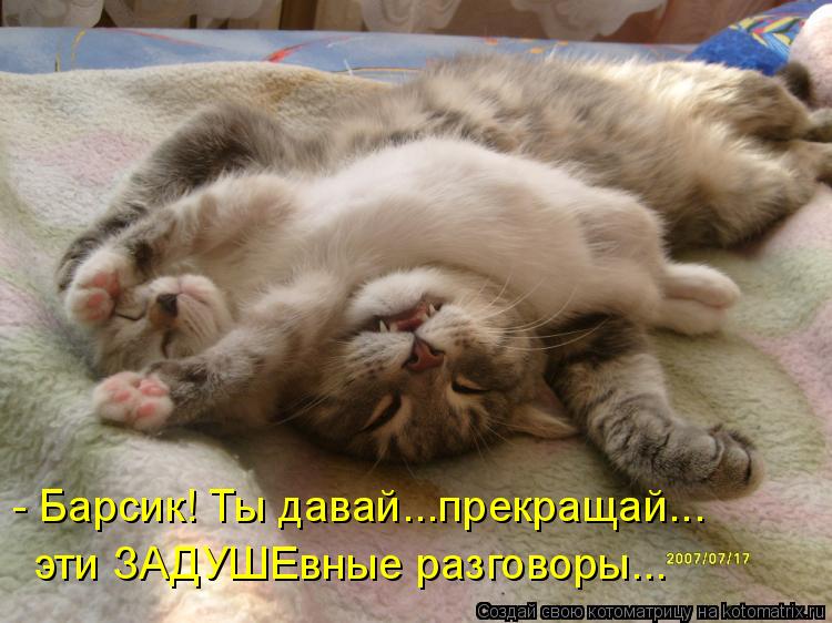 - Барсик! Ты давай...прекращай... эти ЗАДУШЕвные разговоры...... Котоматрица: - Барсик! Ты давай...прекращай... эти ЗАДУШЕвные разговоры...