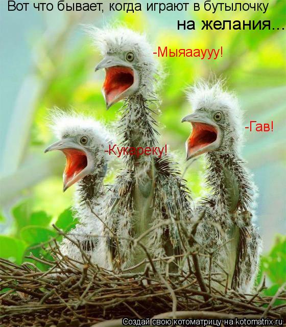 -Мыяааууу! -Гав! -Кукареку! Вот что бывает, когда играют в бутылочку на желания...... Котоматрица: -Мыяааууу! -Гав! -Кукареку! Вот что бывает, когда играют в бутылочку на желания...