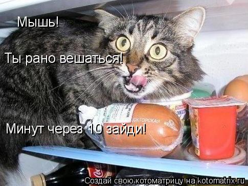 Мышь! Ты рано вешаться! Минут через 10 зайди!... Котоматрица: Мышь! Ты рано вешаться! Минут через 10 зайди!
