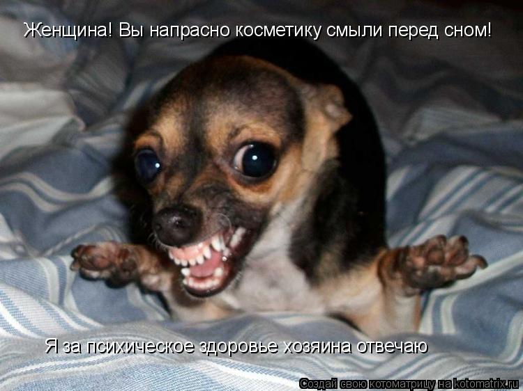 Женщина! Вы напрасно косметику смыли перед сном! Я за психическое здоровье хозяина отвечаю... Котоматрица: Женщина! Вы напрасно косметику смыли перед сном! Я за психическое здоровье хозяина отвечаю