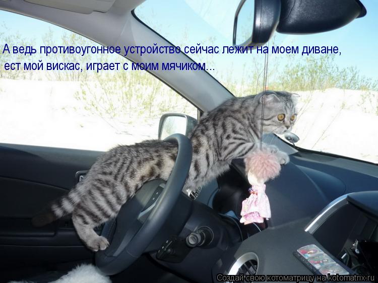 А ведь противоугонное устройство сейчас лежит на моем диване, ест мой вискас, играет с моим мячиком..... Котоматрица: А ведь противоугонное устройство сейчас лежит на моем диване, ест мой вискас, играет с моим мячиком...