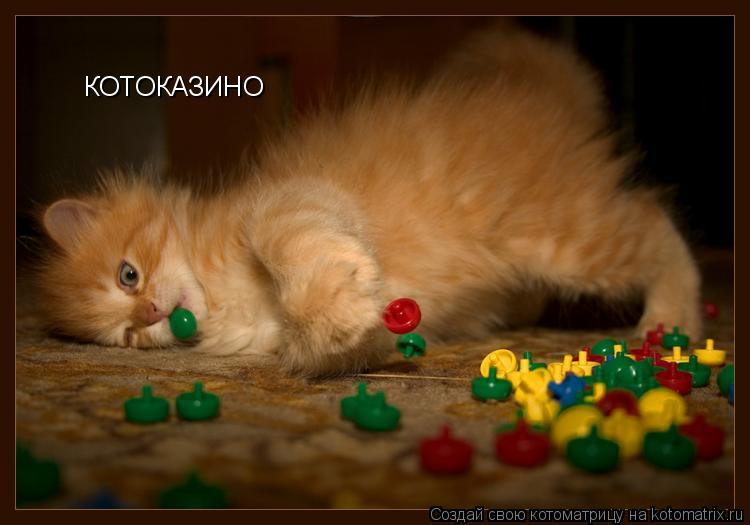 КОТОКАЗИНО... Котоматрица: КОТОКАЗИНО