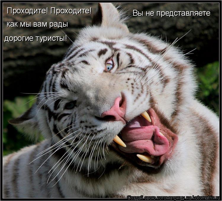Проходите! Проходите! Вы не представляете как мы вам рады дорогие туристы!... Котоматрица: Проходите! Проходите! Вы не представляете как мы вам рады дорогие туристы!