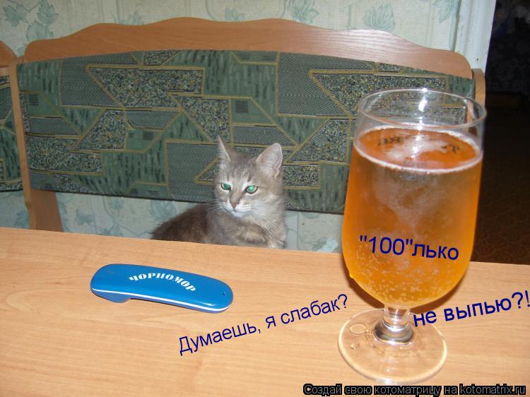 Думаешь, я слабак? "100"лько не выпью?!... Котоматрица: Думаешь, я слабак? "100"лько не выпью?!