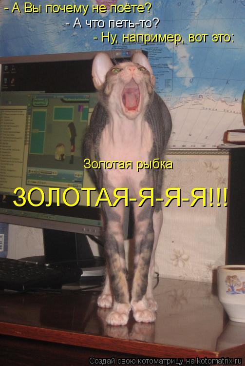 - А Вы почему не поёте? - А что петь-то? - Ну, например, вот это: Золотая рыбка ЗОЛОТАЯ-Я-Я-Я!!!... Котоматрица: - А Вы почему не поёте? - А что петь-то? - Ну, например, вот это: Золотая рыбка ЗОЛОТАЯ-Я-Я-Я!!!