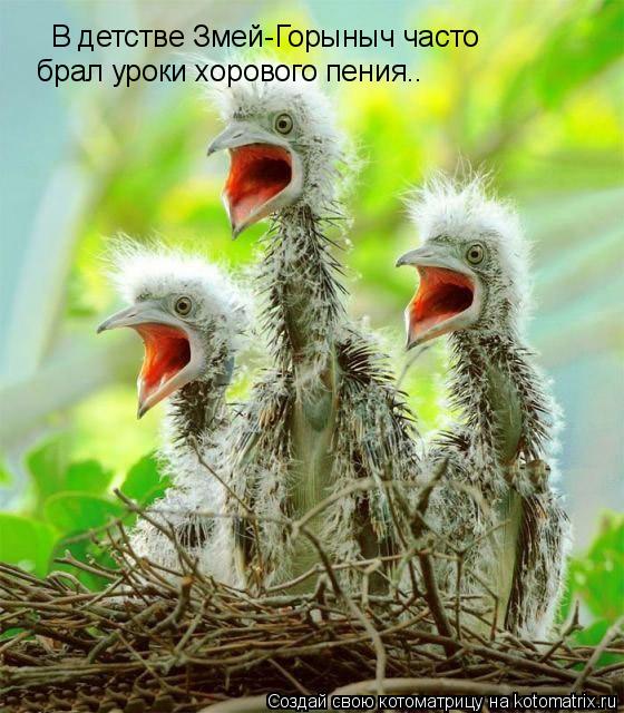 В детстве Змей-Горыныч часто брал уроки хорового пения..... Котоматрица: В детстве Змей-Горыныч часто брал уроки хорового пения..
