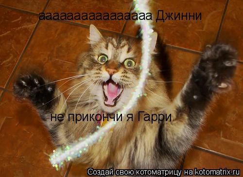 аааааааааааааааа Джинни не прикончи я Гарри... Котоматрица: аааааааааааааааа Джинни не прикончи я Гарри