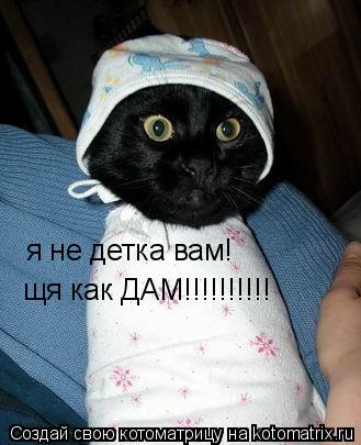 я не детка вам! щя как ДАМ!!!!!!!!!!... Котоматрица: я не детка вам! щя как ДАМ!!!!!!!!!!