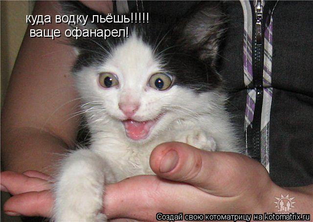 куда водку льёшь!!!!! ваще офанарел!... Котоматрица: куда водку льёшь!!!!! ваще офанарел!