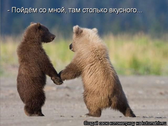 - Пойдём со мной, там столько вкусного...... Котоматрица: - Пойдём со мной, там столько вкусного...
