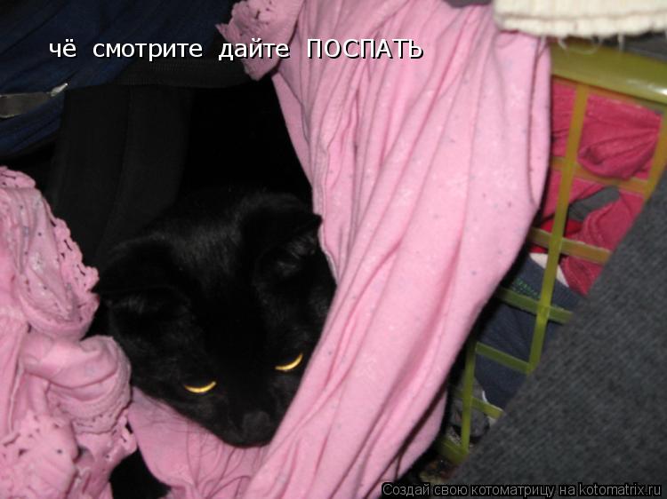 чё смотрите дайте ПОСПАТЬ... Котоматрица: чё смотрите дайте ПОСПАТЬ