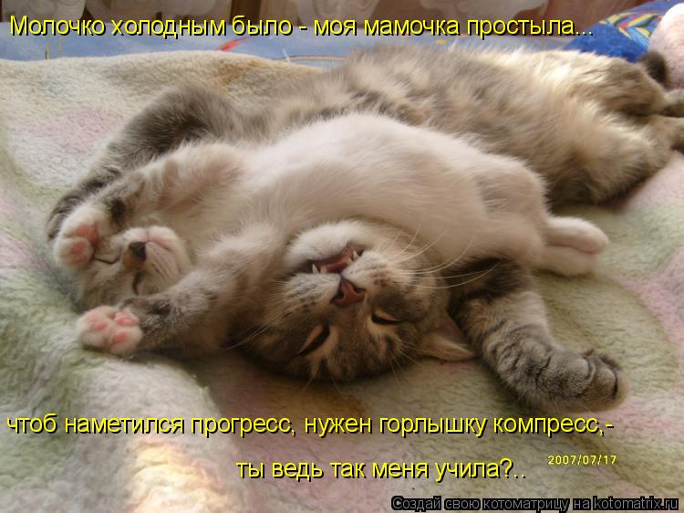 чтоб наметился прогресс, нужен горлышку компресс,- ты ведь так меня учила?.. Молочко холодным было - ... Котоматрица: чтоб наметился прогресс, нужен горлышку компресс,- ты ведь так меня учила?.. Молочко холодным было - моя мамочка простыла...