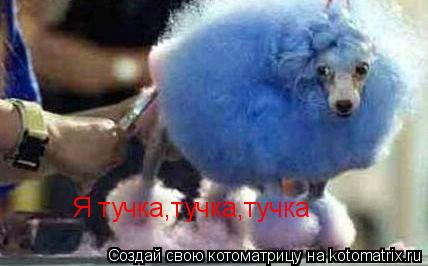 Я тучка,тучка,тучка... Котоматрица: Я тучка,тучка,тучка