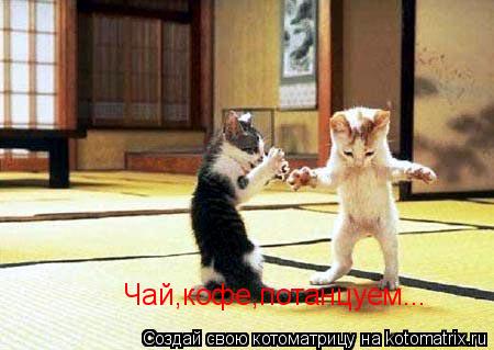 Чай,кофе,потанцуем...... Котоматрица: Чай,кофе,потанцуем...