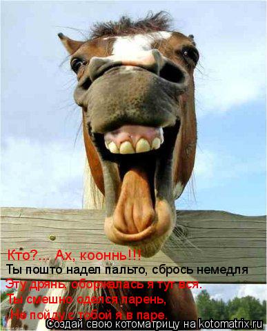 Кто?... Ах, кооннь!!! Ты пошто надел пальто, сбрось немедля Эту дрянь, оборжалась я тут вся. Ты смешн... Котоматрица: Кто?... Ах, кооннь!!! Ты пошто надел пальто, сбрось немедля Эту дрянь, оборжалась я тут вся. Ты смешно оделся парень, Не пойду с тобой я в паре.