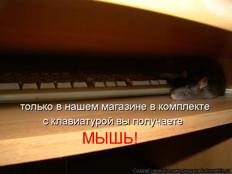 только в нашем магазине в комплекте с клавиатурой вы получаете МЫШЬ!... Котоматрица: только в нашем магазине в комплекте с клавиатурой вы получаете МЫШЬ!