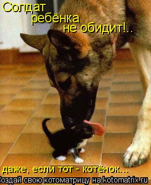 Солдат ребёнка не обидит!.. даже, если тот - котёнок...... Котоматрица: Солдат ребёнка не обидит!.. даже, если тот - котёнок...