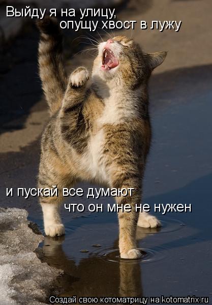 Выйду я на улицу, опущу хвост в лужу и пускай все думают что он мне не нужен... Котоматрица: Выйду я на улицу, опущу хвост в лужу и пускай все думают что он мне не нужен