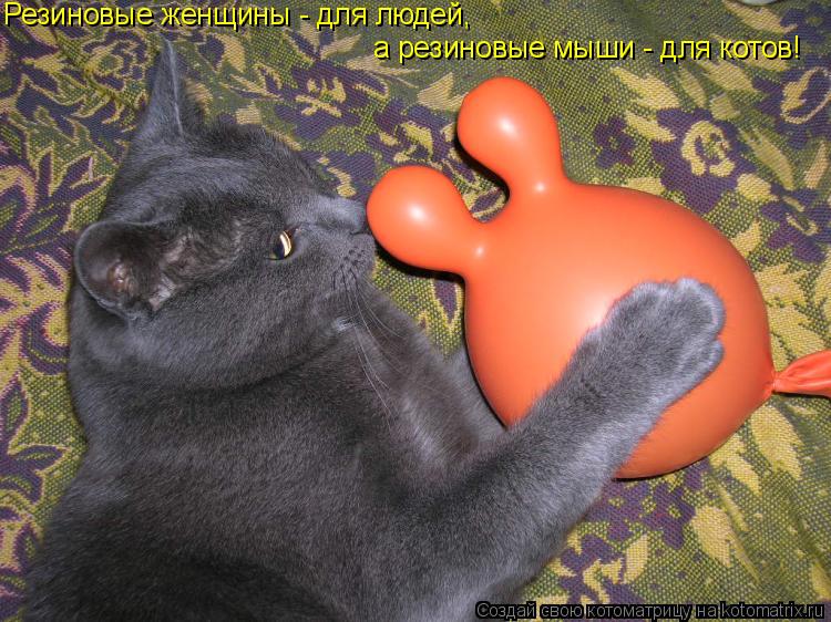 Котоматрица: Резиновые женщины - для людей, а резиновые мыши - для котов!