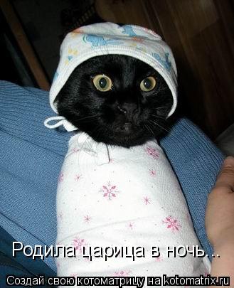 Котоматрица: Родила царица в ночь... Родила царица в ночь...