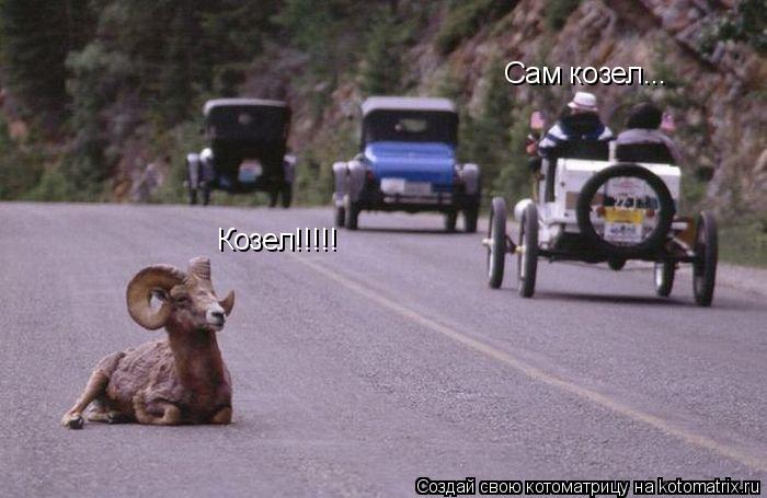 Котоматрица: Козел!!!!! Сам козел...