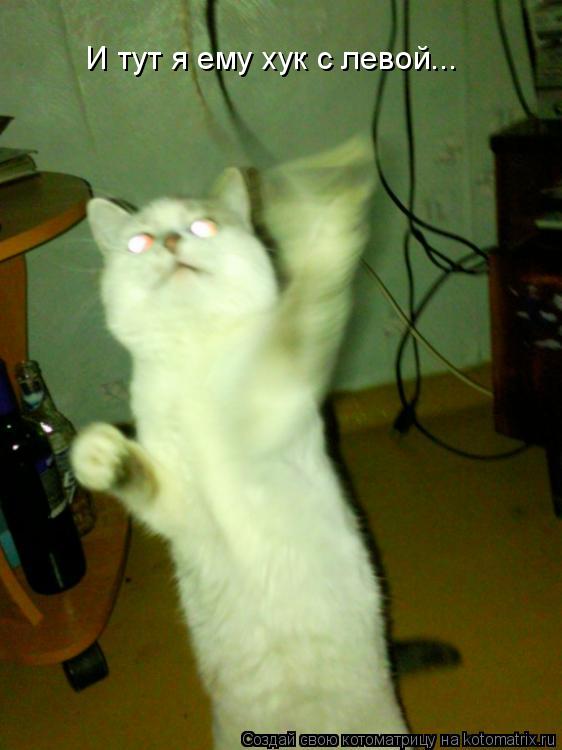 Котоматрица: И тут я ему хук с левой...