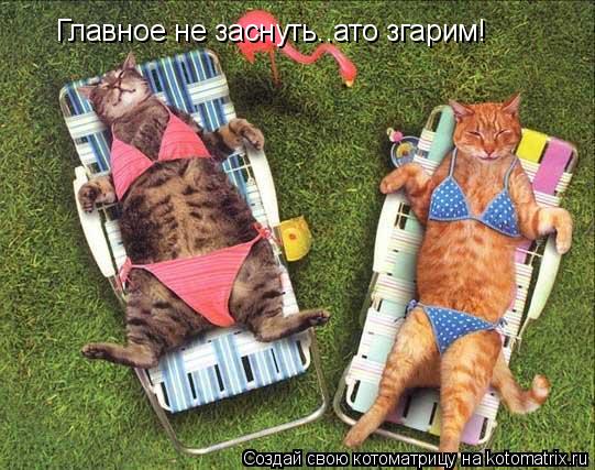 Все хорошо, только Главное не заснуть..ато згарим!... Котоматрица: Все хорошо, только Главное не заснуть..ато згарим!