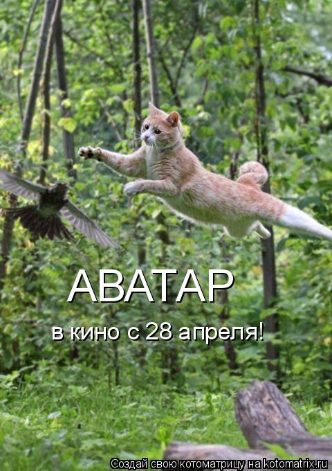 Котоматрица: АВАТАР в кино с 28 апреля!