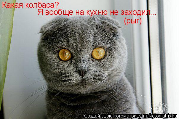Какая колбаса? Я вообще на кухню не заходил... (рыг)... Котоматрица: Какая колбаса? Я вообще на кухню не заходил... (рыг)