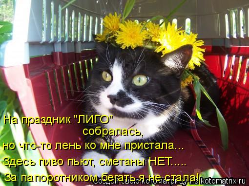 На праздник "ЛИГО" собралась, но что-то лень ко мне пристала... Здесь пиво пьют, сметаны НЕТ..... За ... Котоматрица: На праздник "ЛИГО" собралась, но что-то лень ко мне пристала... Здесь пиво пьют, сметаны НЕТ..... За папоротником бегать я не стала!