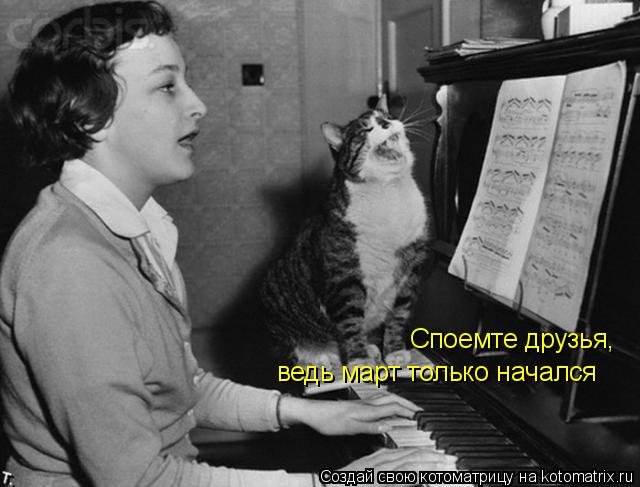 Котоматрица: Споемте друзья, ведь март только начался