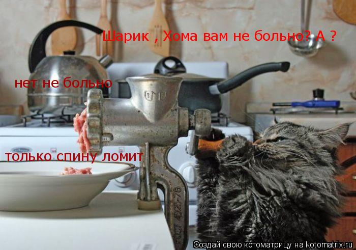 Котоматрица: Шарик , Хома вам не больно? А ? нет не больно только спину ломит