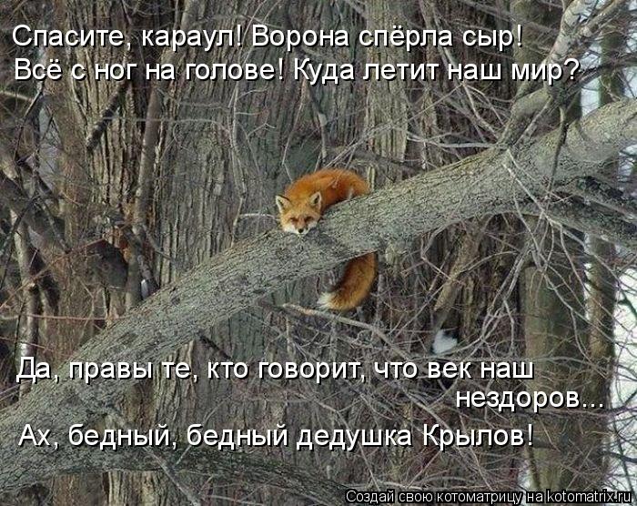 Спасите, караул! Ворона спёрла сыр! Всё с ног на голове! Куда летит наш мир? Да, правы те, кто говори... Котоматрица: Спасите, караул! Ворона спёрла сыр! Всё с ног на голове! Куда летит наш мир? Да, правы те, кто говорит, что век наш нездоров... Ах, бедный, бедный