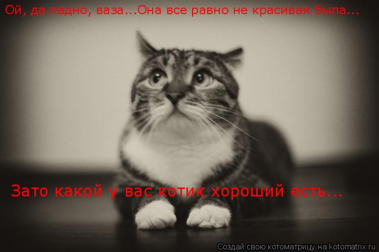 Ой, да ладно, ваза...Она все равно не красивая была... Зато какой у вас котик хороший есть...... Котоматрица: Ой, да ладно, ваза...Она все равно не красивая была... Зато какой у вас котик хороший есть...